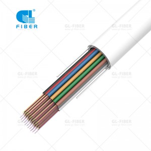 Cable de micromódulo interior