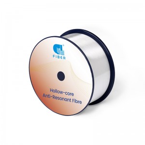 Holle Core Anti-Resonant Fibers (ARF)
