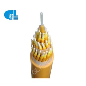 Reasonable price Nometallic Fiber Optic Cable -
 GJPFJV Indoor Multi Purpose Distribution Fiber Optic Cable – GL Technology