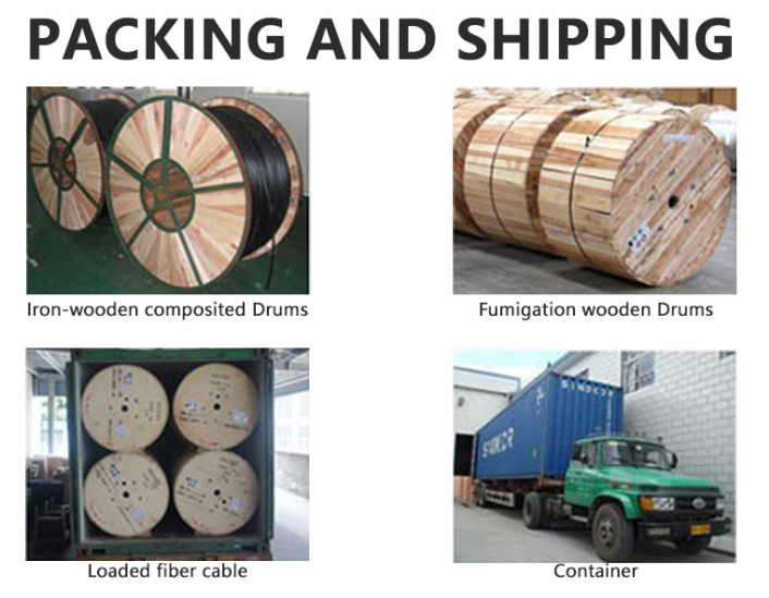 Common Accidents And Prevention Methods of ADSS Optical Cable