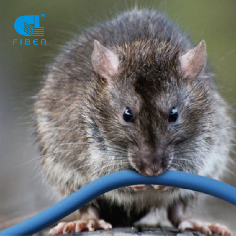 Wat is biologiese beskerming optiese veselkabel?