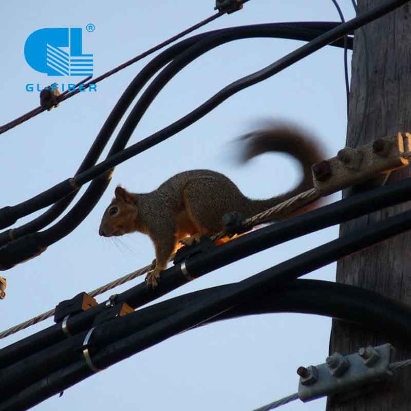 Cumu sceglie i materiali di a guaina esterna di u cable in fibra ottica?