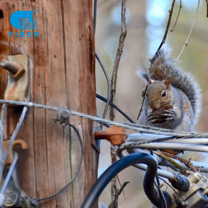 Defending Your Network: The Ultimate Guide to Anti-Rodent Fiber Optic Cables